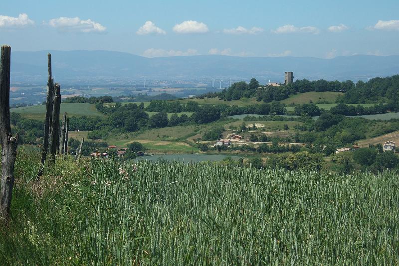 2011-05- (984).JPG - Blick Richtung Westen zur Rhône mit angrenzendem Gebirge - im Vordergrund der Tour de Ratières